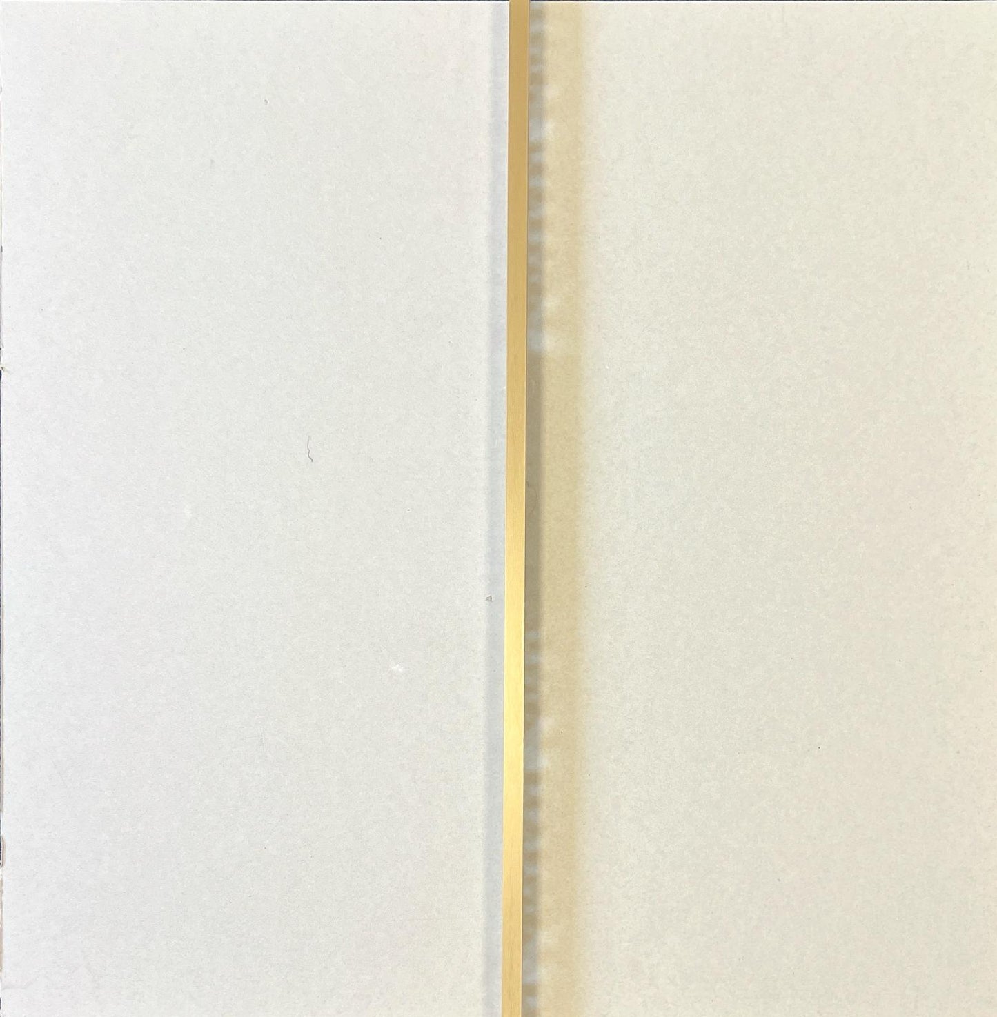12MM x 2.44M Matt Gold Square Edge Trim
