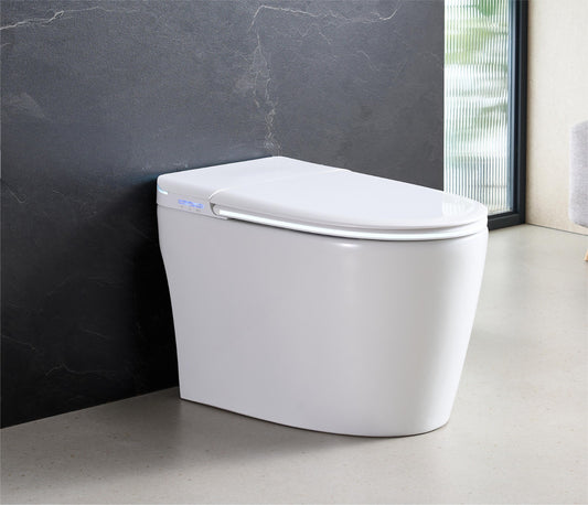 STK04C ONE-PIECE SMART TOILET
