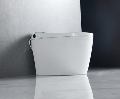ST2316C. ONE-PIECE SMART TOILET