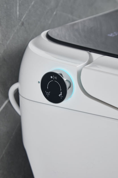 ST2316C. ONE-PIECE SMART TOILET