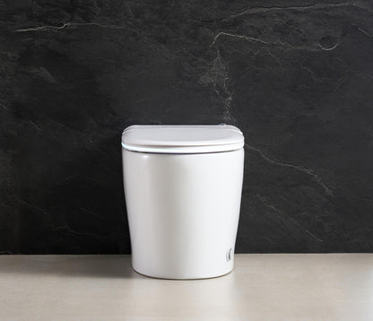 STK04C ONE-PIECE SMART TOILET