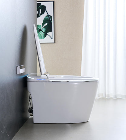 STK04C ONE-PIECE SMART TOILET