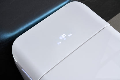 STK04C ONE-PIECE SMART TOILET