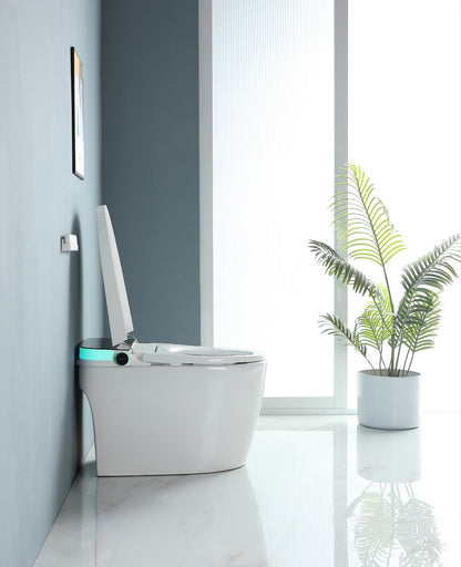 ST2409C. ONE - PIECE SMART TOILET
