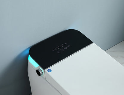 ST2409C. ONE - PIECE SMART TOILET