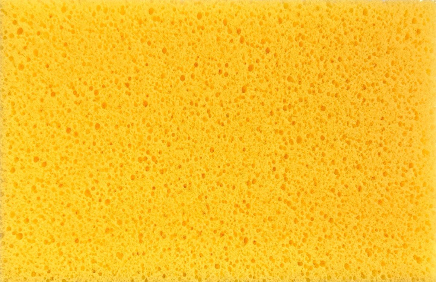 PRO HYDRO SPONGE