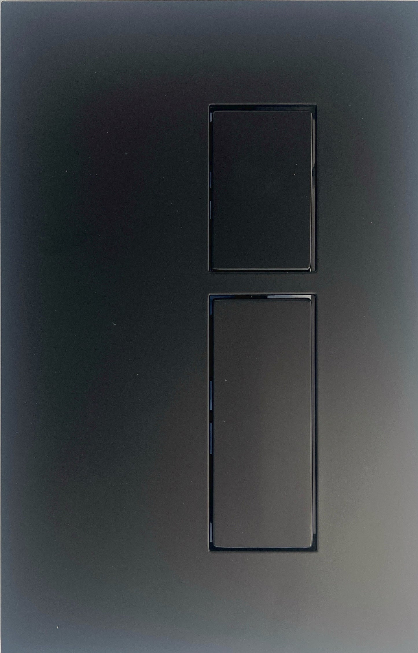 FLUSH PLATE