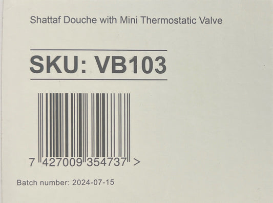 SHATTAF DOUCHE WITH MINI THERMOSTATIC VALVE